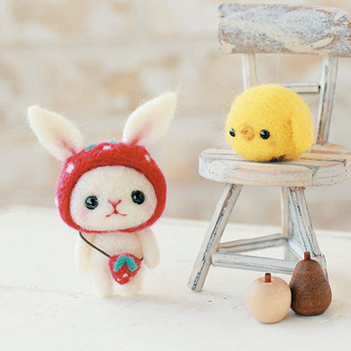 H441-307 Felting Kit 