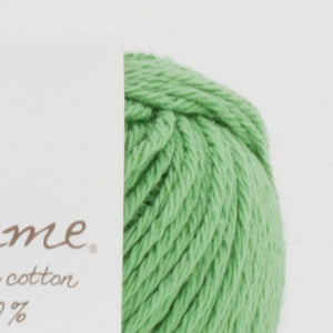 Paume Baby Color No.302